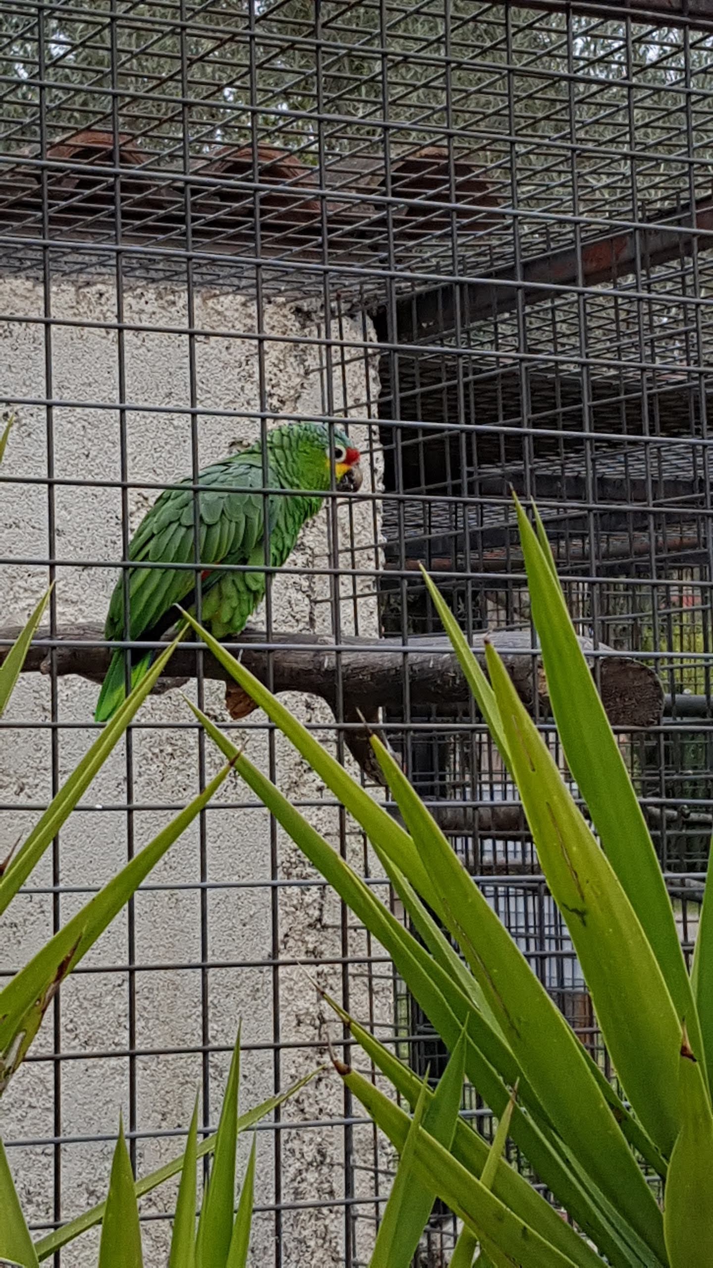 Photo n° 48 de l'avis de Isabelle.e fait le 16/04/2019 à 22:21