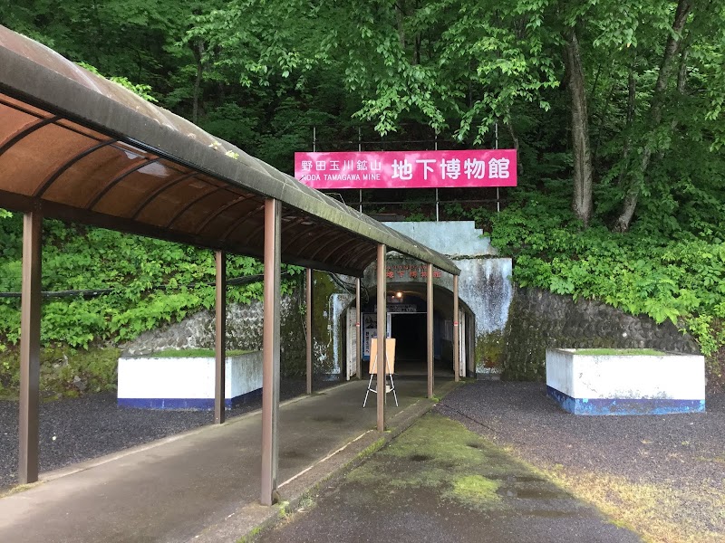 マリンローズパーク野田玉川地下博物館