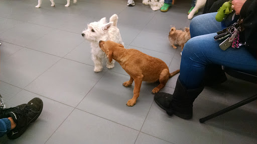 Pet Supply Store «Petco Animal Supplies», reviews and photos, 1255 Raritan Rd #140, Clark, NJ 07066, USA