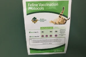Roma Veterinary Clinic image