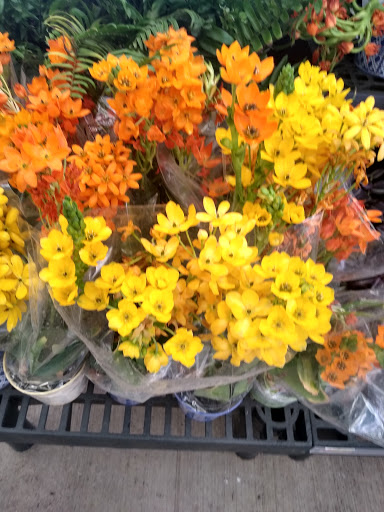 Home Improvement Store «The Home Depot», reviews and photos, 825 E Dundee Rd, Palatine, IL 60074, USA