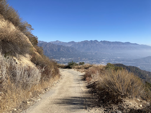 Verdugo Mountain – Beaudry Fire Road Loop