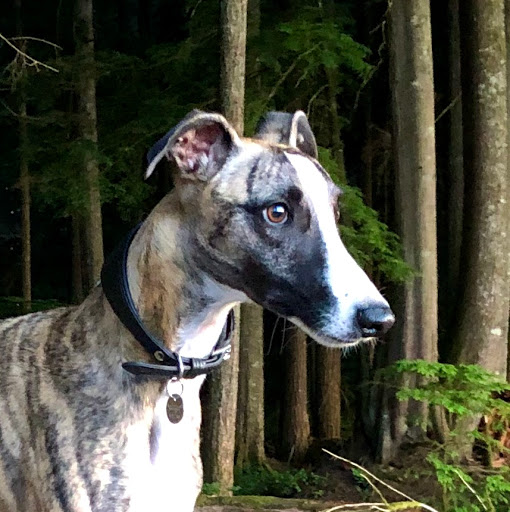 Pet Store «Exclusive Pet Supply», reviews and photos, 21829 NE Halsey St, Fairview, OR 97024, USA