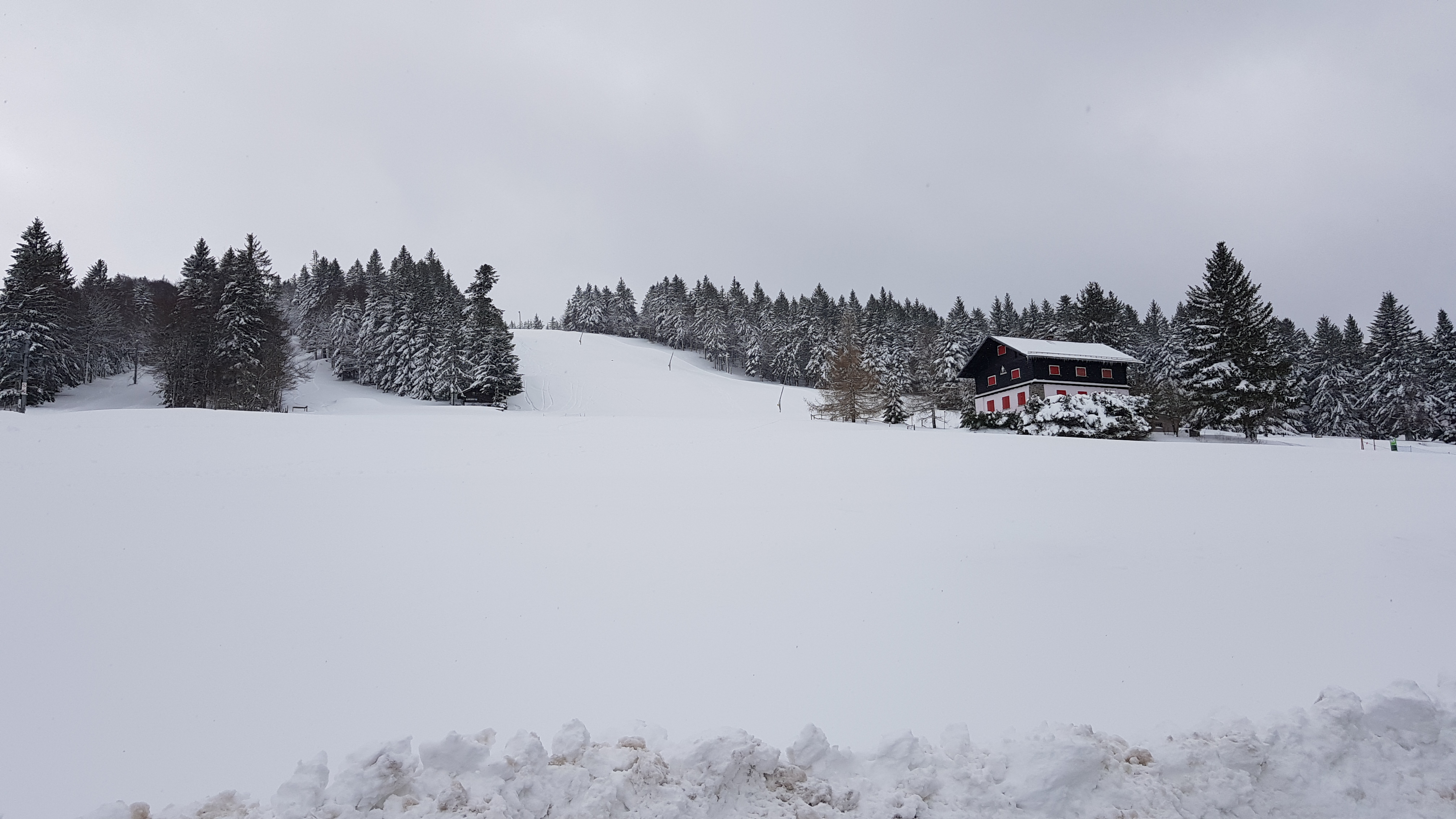 Photo n° 1 de l'avis de B..a fait le 18/03/2021 à 14:06