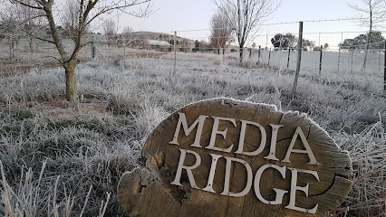 Media Ridge