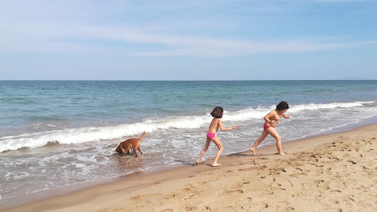 Platja del Brosquil