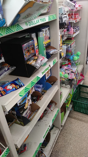 Dollar Store «Dollar Tree», reviews and photos, 250 Jericho Turnpike #80, Floral Park, NY 11001, USA