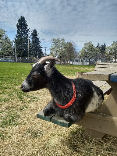 Farm «The Belmont Goats», reviews and photos, 9330 SE Harold St, Portland, OR 97266, USA