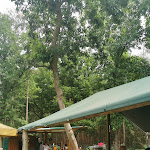 Photo n°1 de l'avis de Ronny.i fait le 05/07/2020 à 11:45 sur le  Gulaschkanone à Storkow