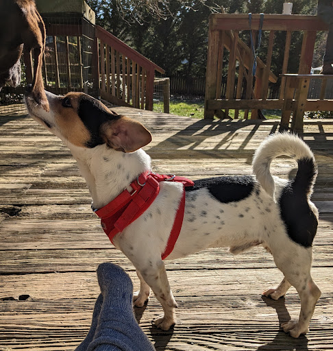 Columbia Veterinary Hospital image