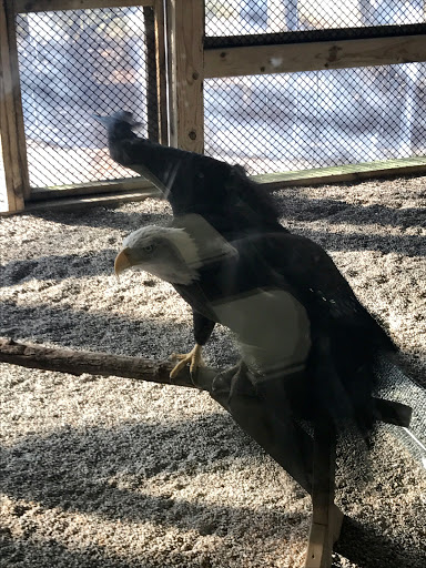 Nature Preserve «Carpenter Nature Center», reviews and photos, 12805 St Croix Trail S, Hastings, MN 55033, USA