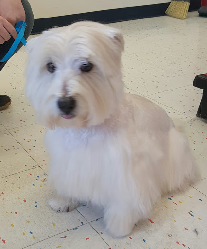 Pet Supply Store «Petco Animal Supplies», reviews and photos, 777 Stillwater Ave, Bangor, ME 04401, USA