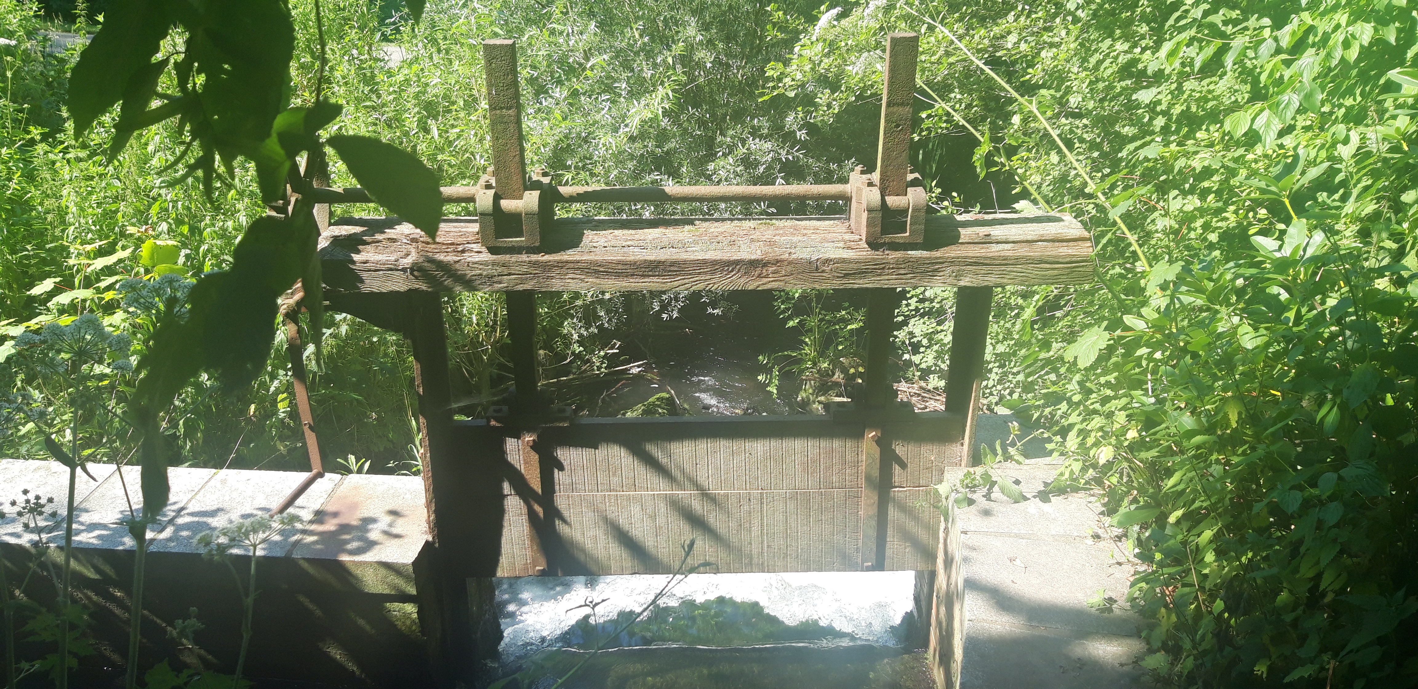 Photo n° 2 de l'avis de Marc.A fait le 20/07/2021 à 16:37
