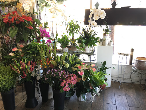 Florist «Highland Park Florist, Inc.», reviews and photos, 5731 N Figueroa St, Los Angeles, CA 90042, USA