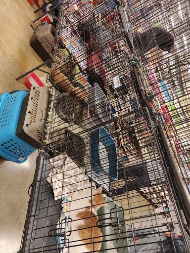 Pet Supply Store «Petco Animal Supplies», reviews and photos, 5961 Warner Ave, Huntington Beach, CA 92649, USA