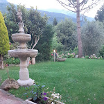 Photo n°1 de l'avis de giuseppina.r fait le 19/07/2020 à 12:43 sur le  La Cantina à Trento