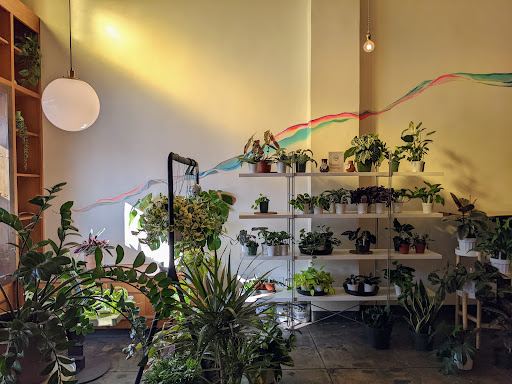 Coffee Shop «Kindness & Mischief Coffee», reviews and photos, 5537 N Figueroa St, Los Angeles, CA 90042, USA