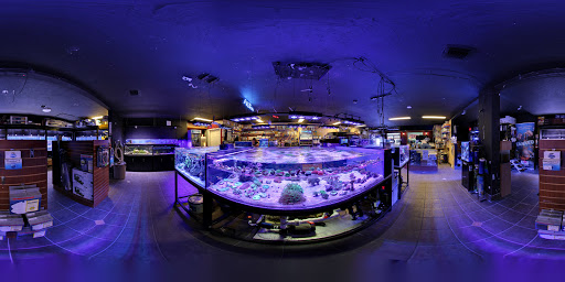 Pet Store «Reeftop Aquariums-Pet Boutique», reviews and photos, 13250 SW 87th Ave, Miami, FL 33176, USA