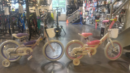 Bicycle Store «Madison & Davis Bicycle Shop», reviews and photos, 912 S 8th St, Quincy, IL 62301, USA