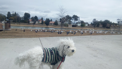 Park «Greer Park», reviews and photos, 6900 W McFadden Ave, Huntington Beach, CA 92647, USA