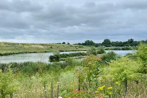 Beddington Farmlands image