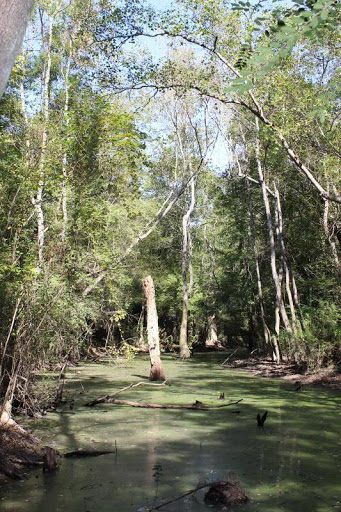 Nature Preserve «Frenchtown Rd Conservation Area», reviews and photos, 17819 Frenchtown Rd, Central, LA 70739, USA