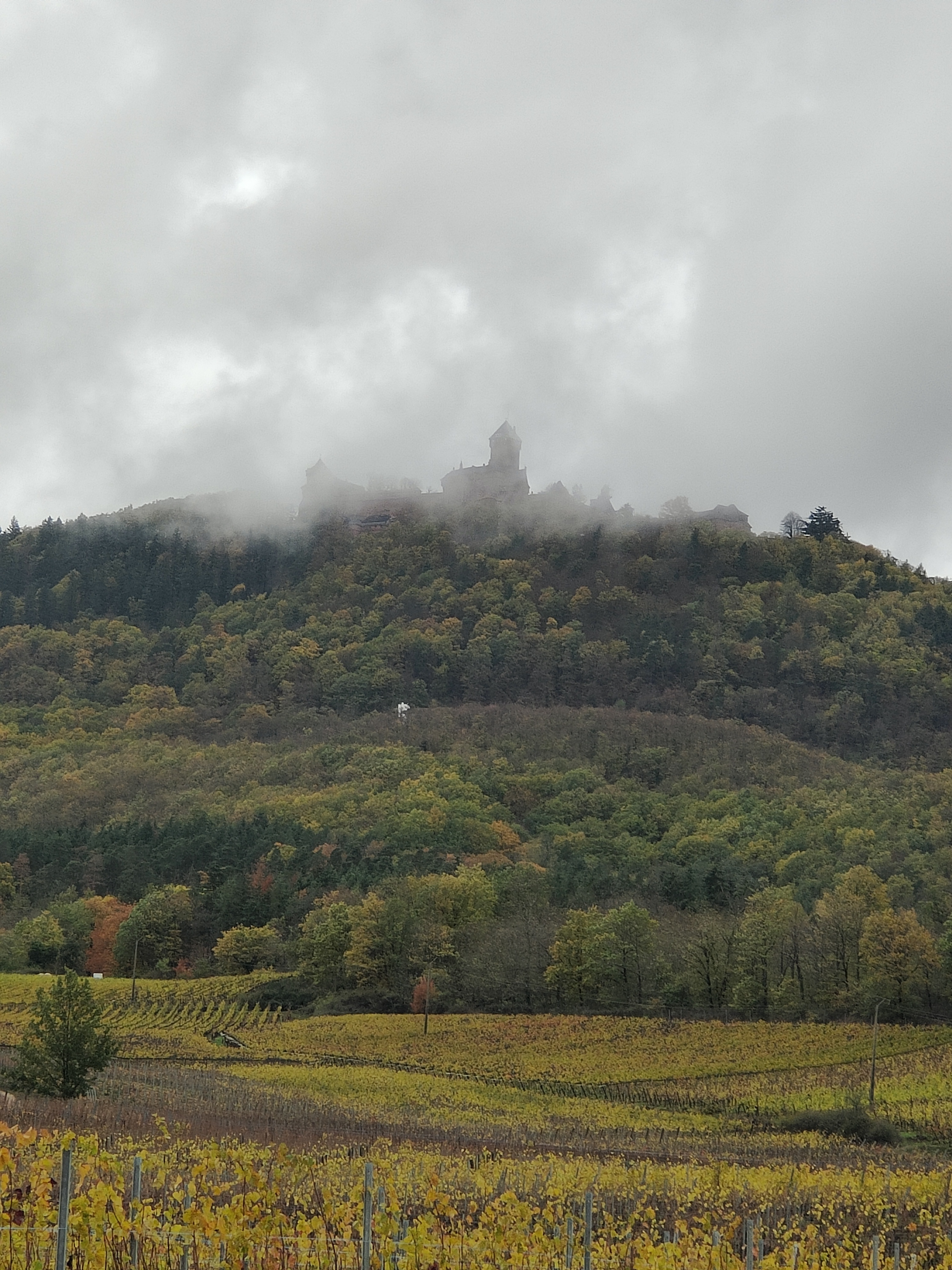 Photo n° 1 de l'avis de Patrice.a fait le 14/11/2023 à 08:26