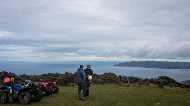 Comments and reviews of Wellington Adventures - Quad Bike Expeditions
