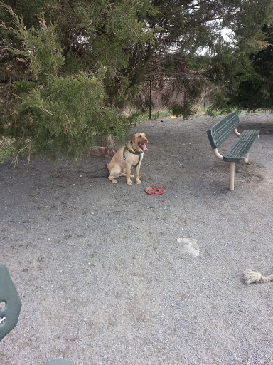 Dog Park «Rock Hill District Park», reviews and photos, 15150 Old Lee Rd, Chantilly, VA 20151, USA