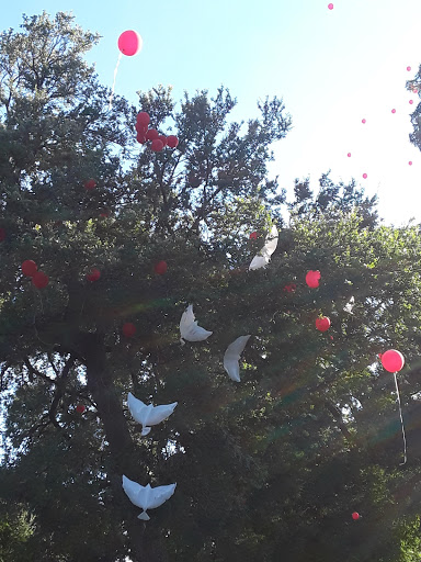 Park «Glendale Park», reviews and photos, 1515 E Ledbetter Dr, Dallas, TX 75216, USA