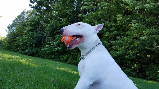 Park «Gabriel Park», reviews and photos, SW 45th Ave & Vermont Street, Portland, OR 97219, USA