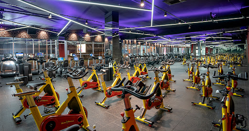 Pulse Fitness & Spa Arena