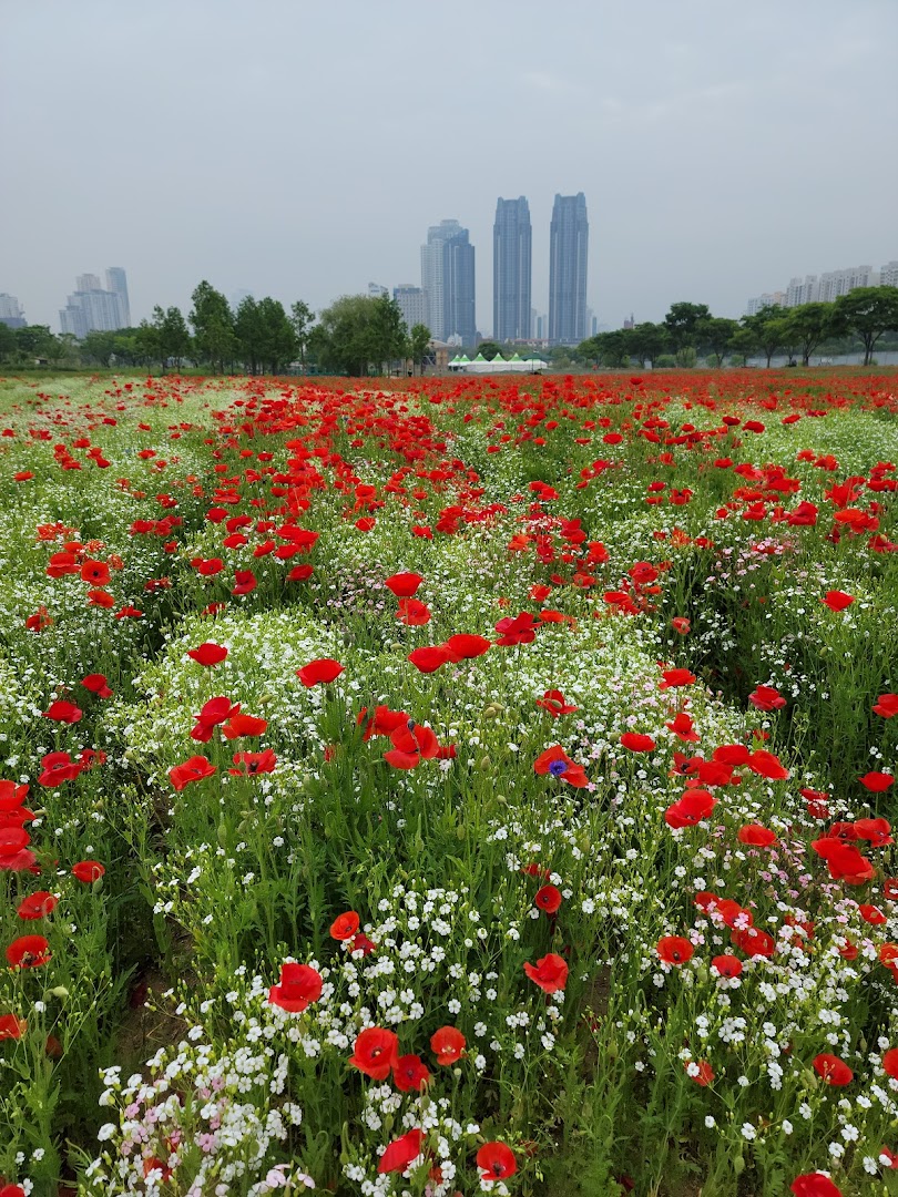 Ulsan, Güney Kore