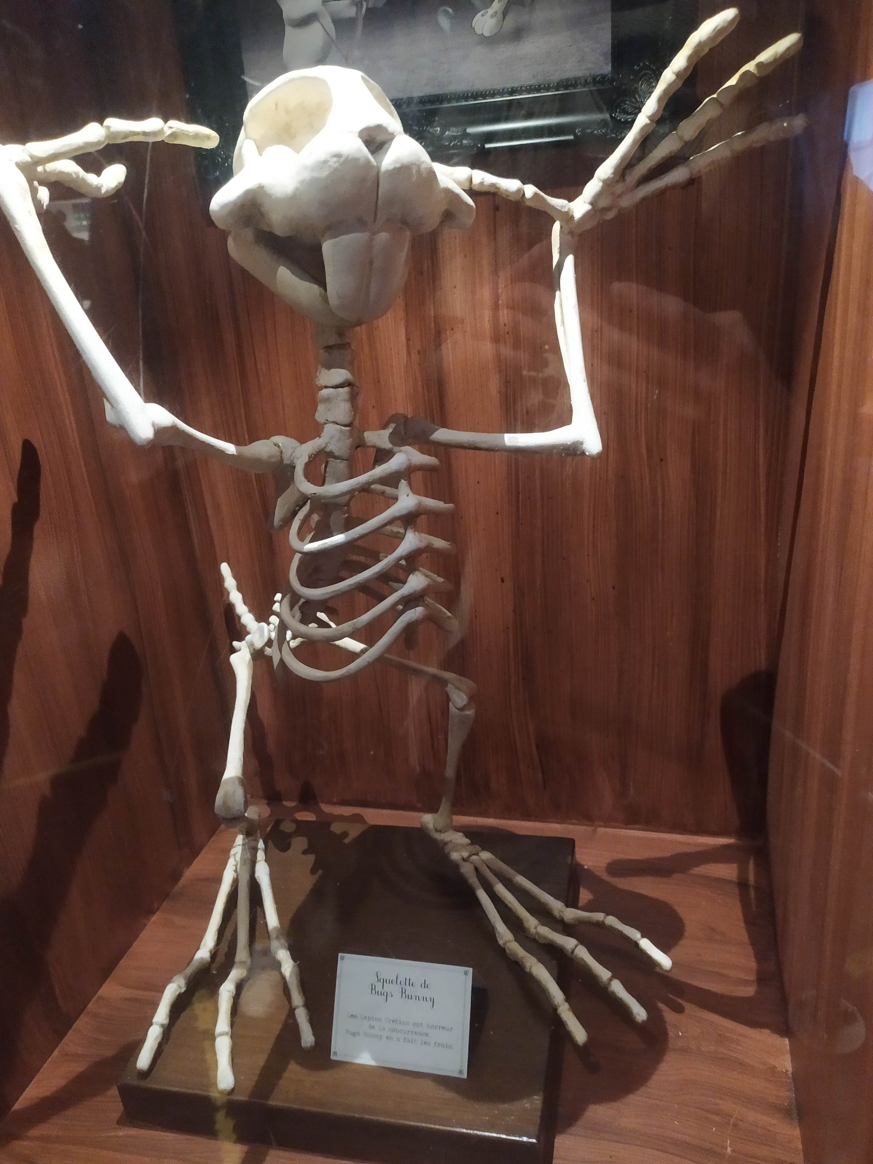 Photo n° 2 de l'avis de Lea. fait le 29/12/2022 à 10:32