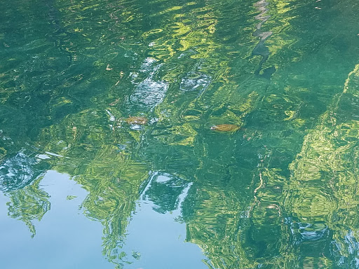 Park «Roswell Area Park», reviews and photos, 10495 Woodstock Rd, Roswell, GA 30075, USA