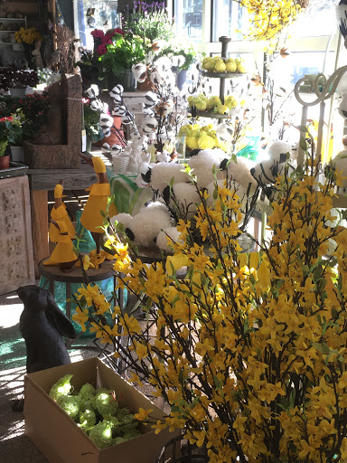 Plant Nursery «Sturtz & Copeland Florist & Greenhouses», reviews and photos, 2851 Valmont Rd, Boulder, CO 80301, USA