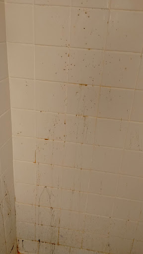 Plumber «Roto-Rooter Plumbing & Drain Services», reviews and photos, 2028 W 21st St, Jacksonville, FL 32209, USA