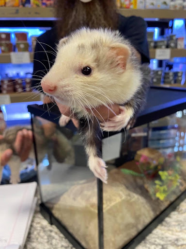 Pet Store «Animal Island Pet Shop», reviews and photos, 14411 S Cicero Ave, Midlothian, IL 60445, USA