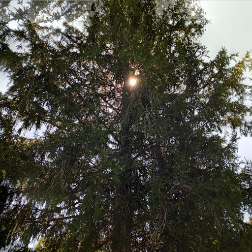 Park «Cedar Creek Park», reviews and photos, 3340 Merrick Rd, Seaford, NY 11783, USA