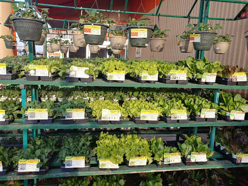 Home Improvement Store «The Home Depot», reviews and photos, 825 E Dundee Rd, Palatine, IL 60074, USA