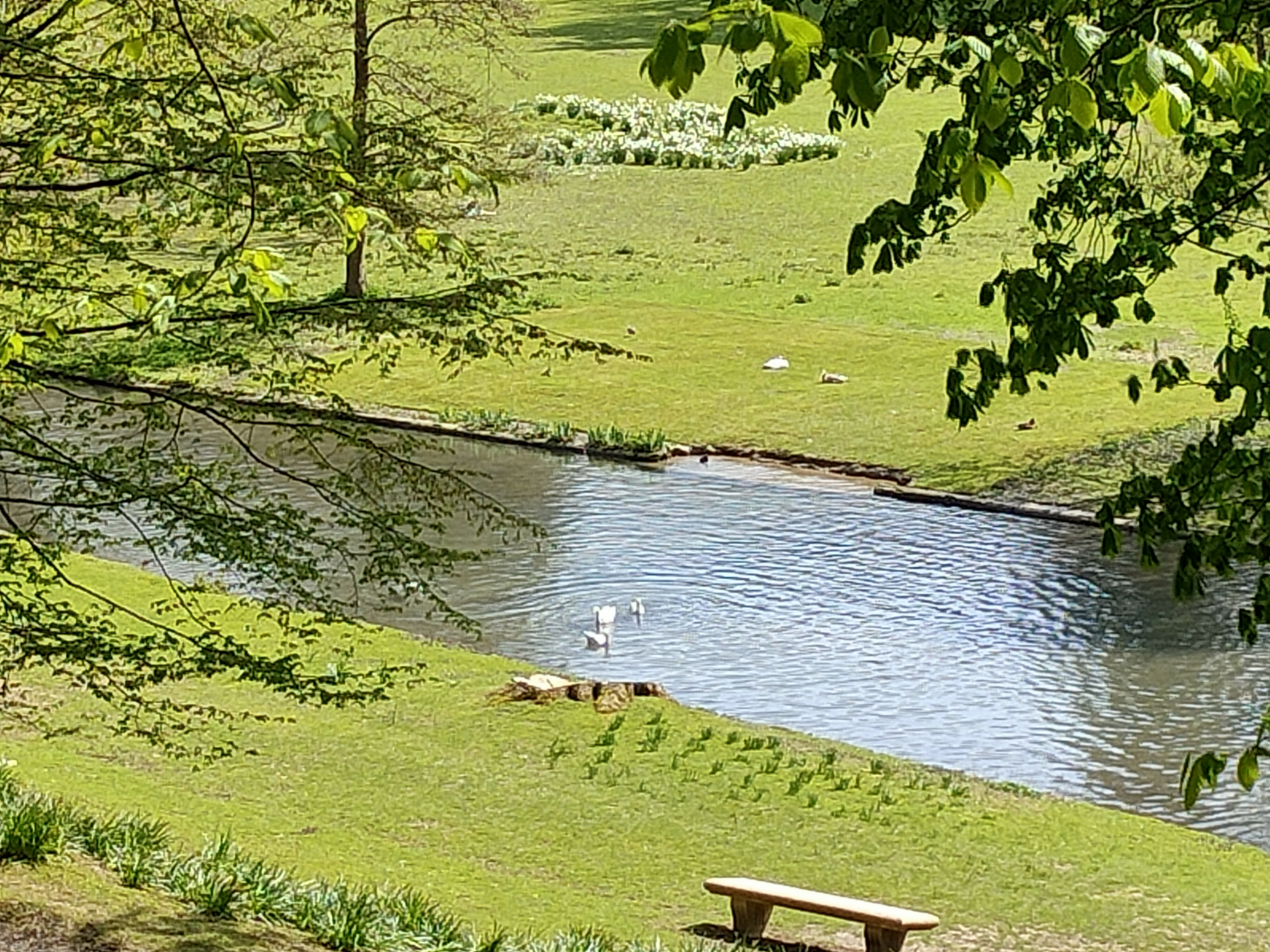 Photo n° 16 de l'avis de Eric.l fait le 16/04/2023 à 16:52