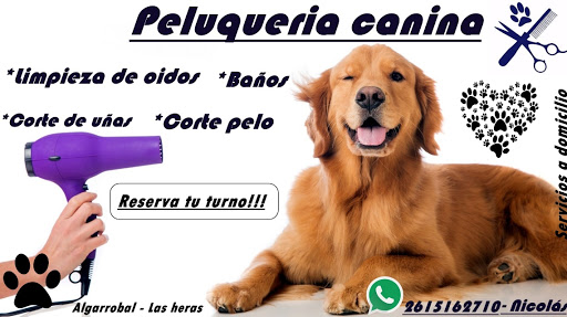 Peluqueria canina