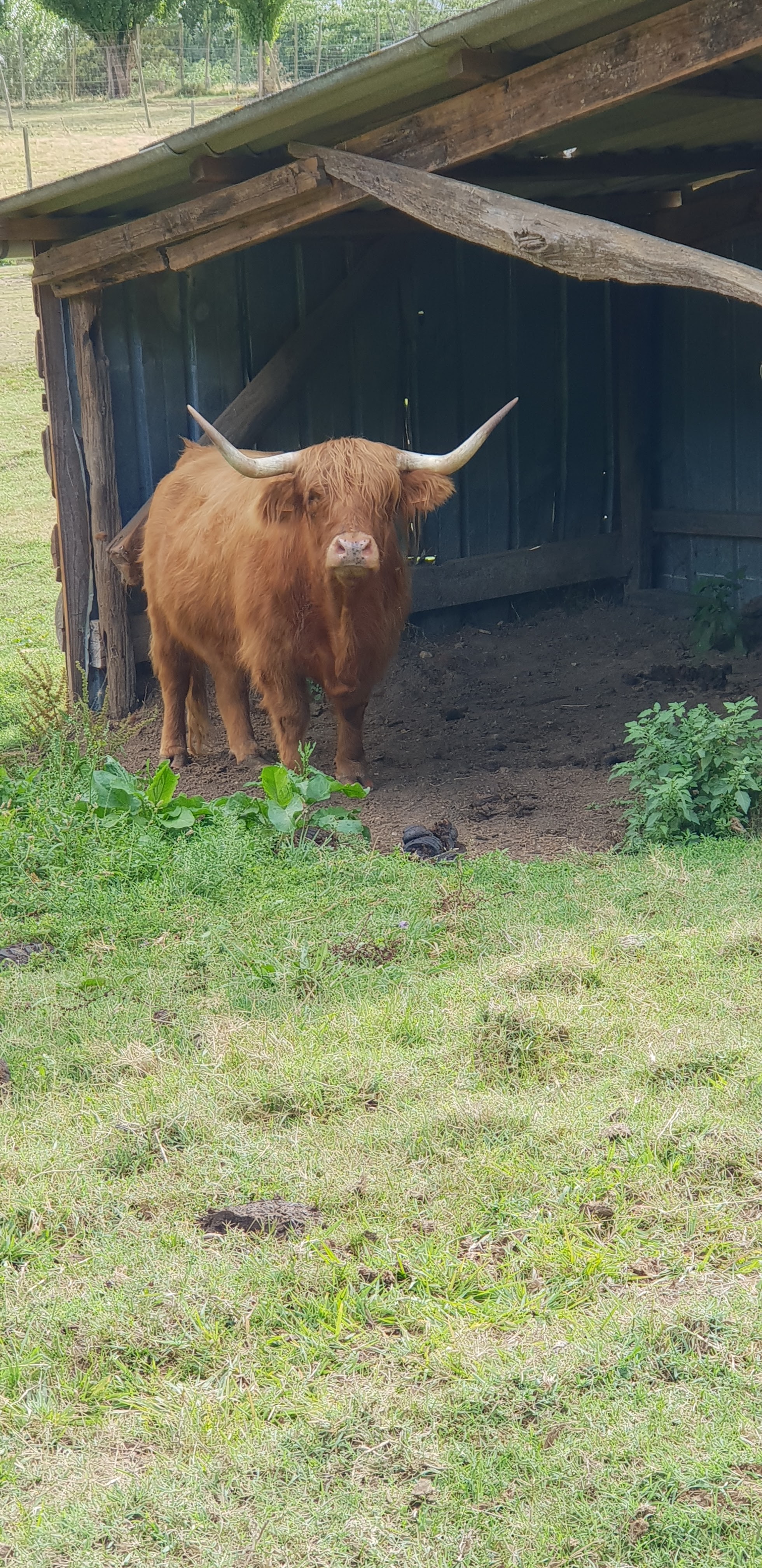 Photo n° 3 de l'avis de Claire.e fait le 21/08/2018 à 21:39