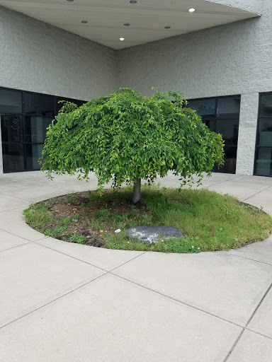 Employment Agency «ProLogistix», reviews and photos, 4444 Decatur Blvd, Indianapolis, IN 46241, USA