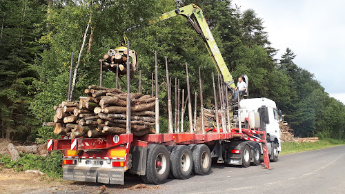 Magasin de bois de chauffage ETS Cevik Feings