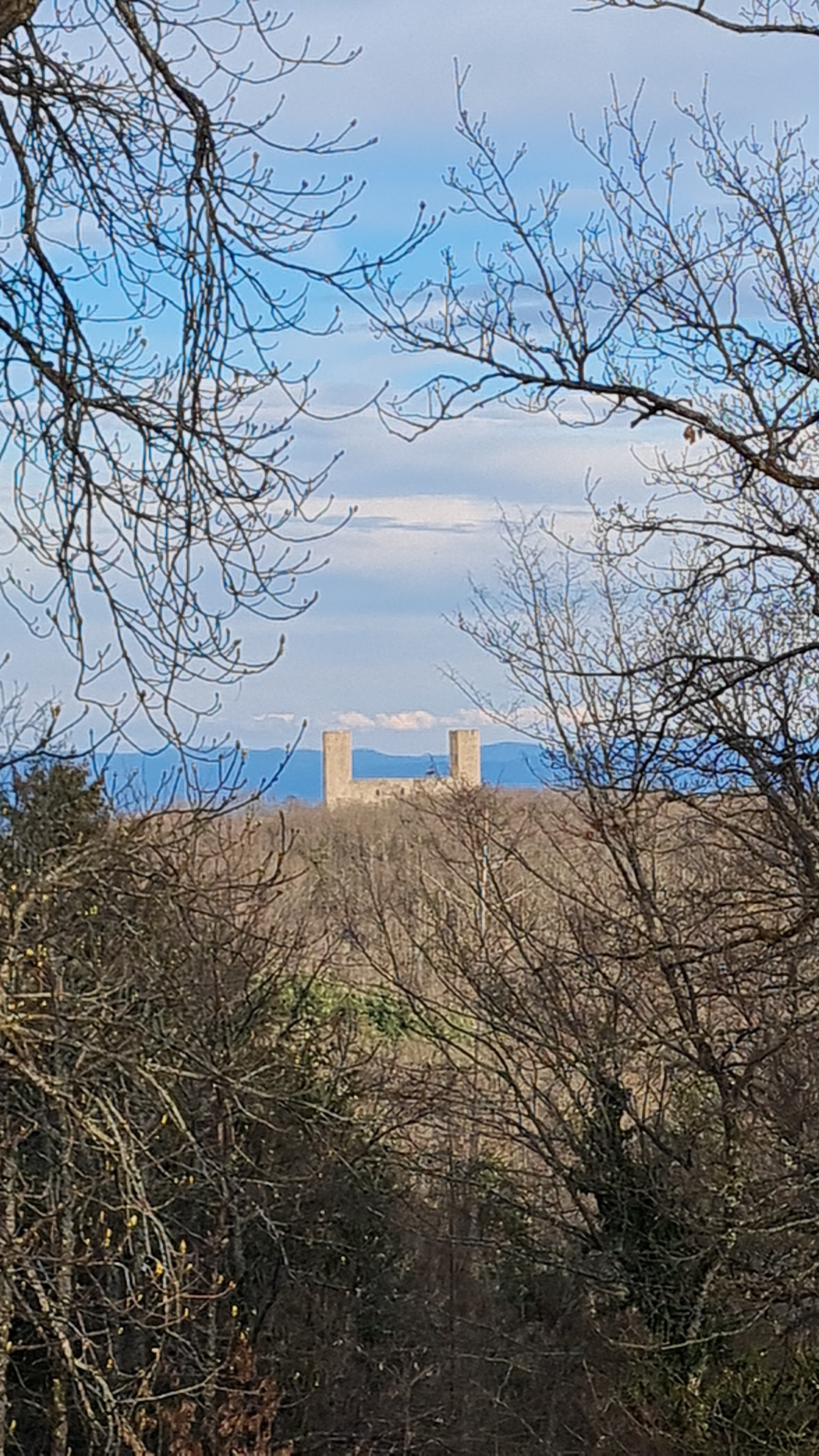 Photo n° 2 de l'avis de Michèle.u fait le 15/03/2024 à 04:17