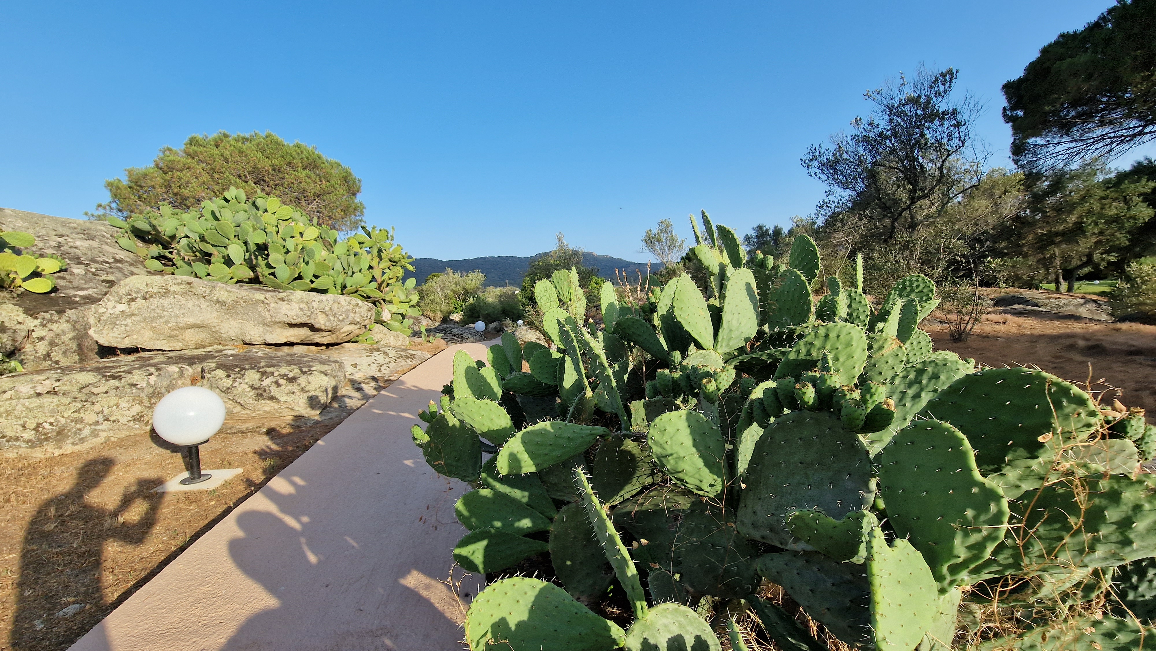Photo n° 3 de l'avis de Loïc.a fait le 09/07/2022 à 17:06