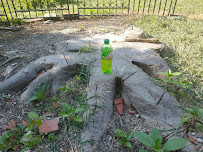 Xtreme Lawn Care & Landscaping - Photo 4 - Car repair in , High Point