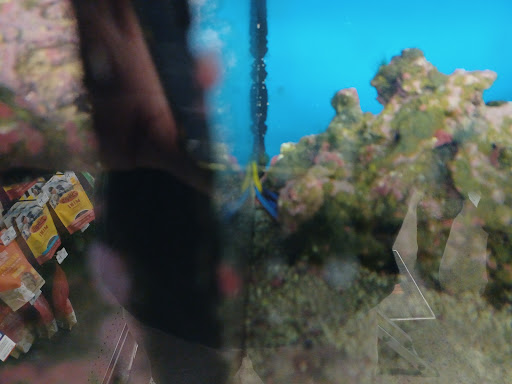 Pet Supply Store «Petco Animal Supplies», reviews and photos, 1175 Ulster Ave, Kingston, NY 12401, USA