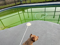 All About Pool Care Services, LLC - Photo 2 - Car repair in Sanford, FL, Deltona